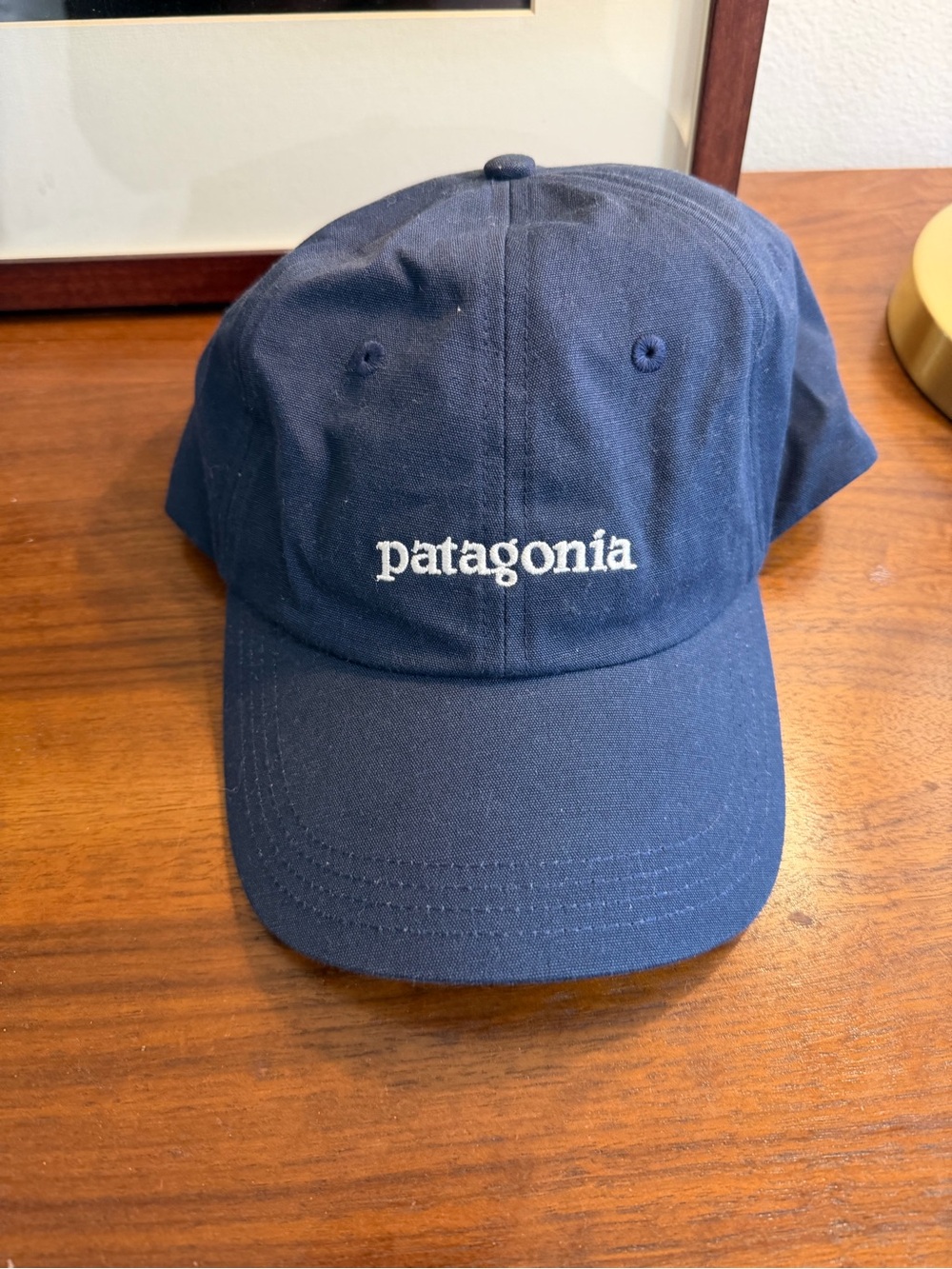 Patagonia Navy Baseball Cap with White Logo